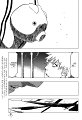 bleach-ch436-02 kopie